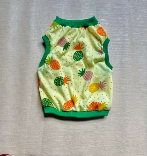 Roupas e acessórios Pets