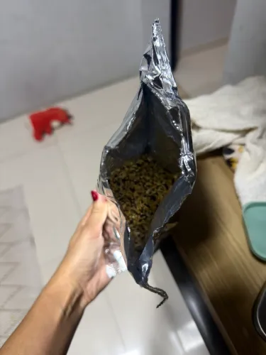 Doação de sementes para ave