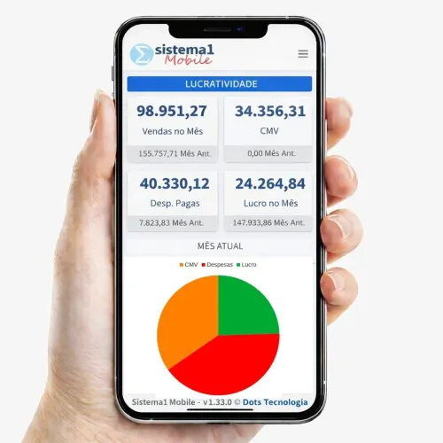 Sistema Monitor de Caixa, Estoque e Resultados da Empresa - (81) 99979.9092
