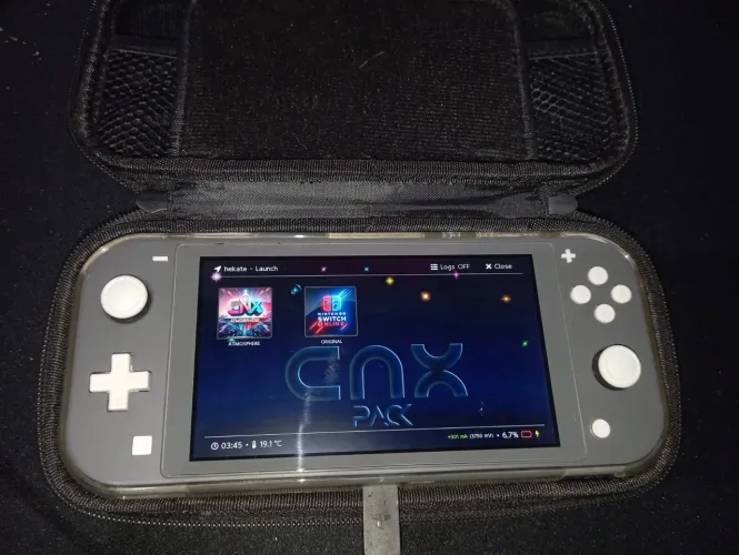 Nintendo switch lite desbloqueado Cinza