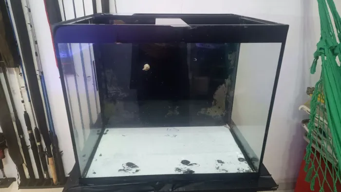 Aquário cubo 160 litros