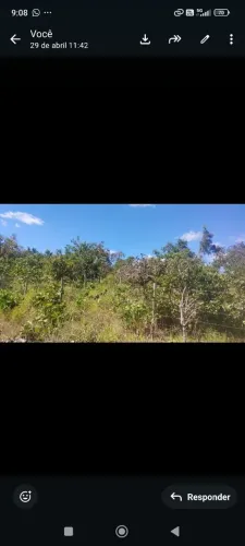 Chácara cercada várias mudas de frutas cercada fundos para represa 