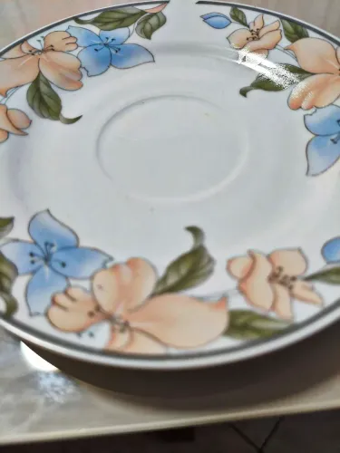 Pratos de Porcelana p/Reposição