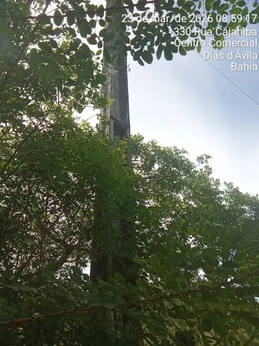 Preciso de sítio para arrendar 5 mil metros com casa arborizado, compreensão de compra