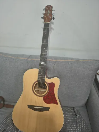 Vendo aviolao elétrico cordas de aço microafinador 