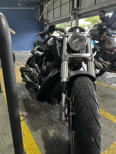 H.DAVIDSON HARLEY DAVIDSON VRSCF