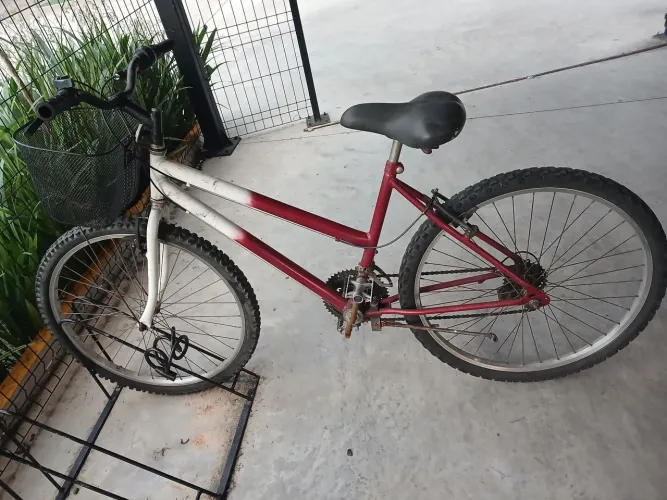 Bicicleta