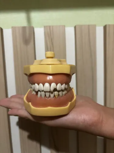 Manequim odontológico dentistica 