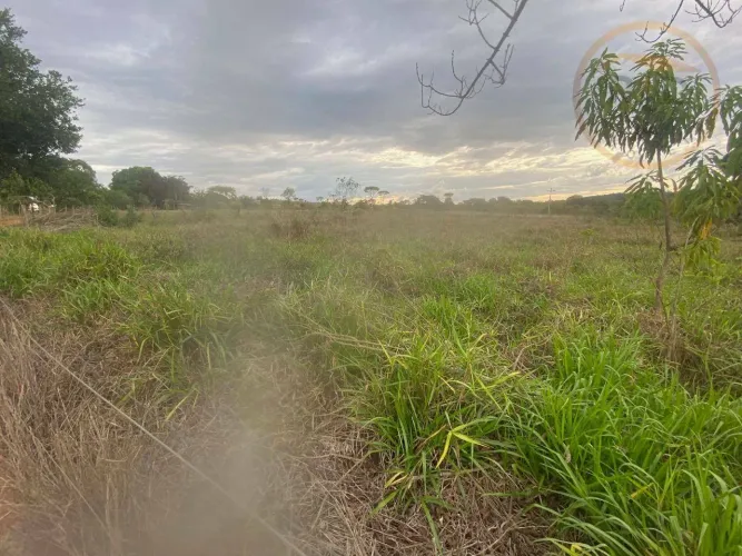 Chácara com 4 dormitórios à venda, 70000 m² por R$ 1.600.000,00 - Paranoá - Paranoá/DF