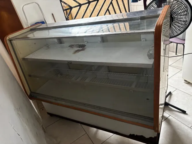 FREEZER BALCÃO