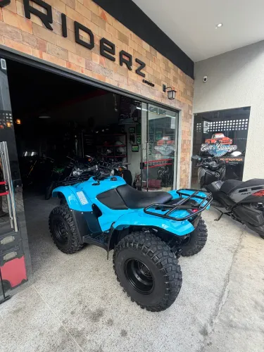 Quadriciculo HONDA Fourtrax 4X4 2010