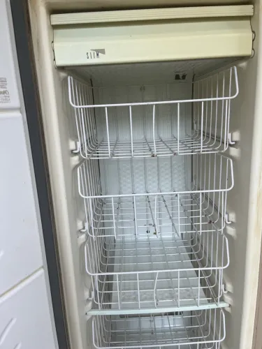 Freezer de pé