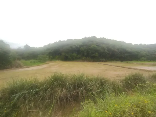 ÁREA PARA VENDA NO RIBEIRÃO CAVALO EM JARAGUÁ DO SUL
