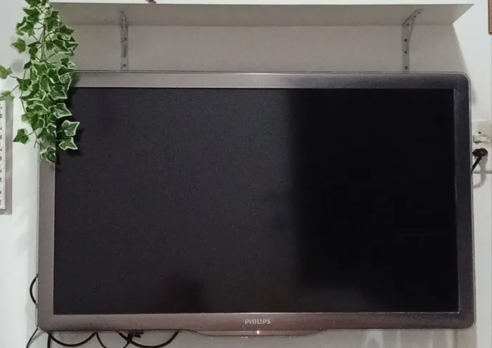 TELEVISÃO