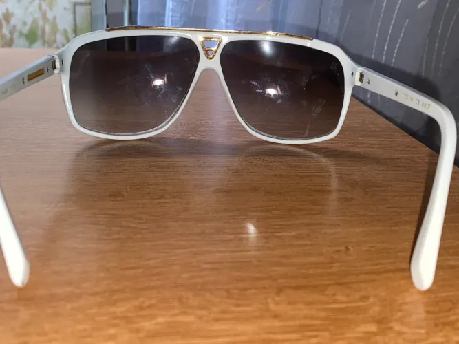 Louis Vuitton Evidence