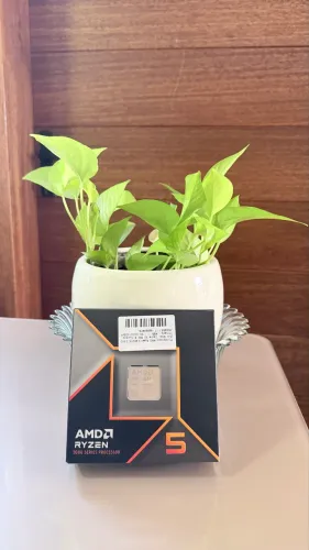 AMD Ryzen 5 9600X