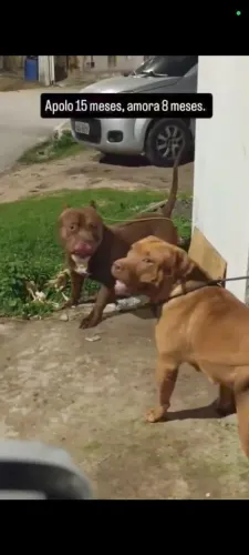 Pit monster