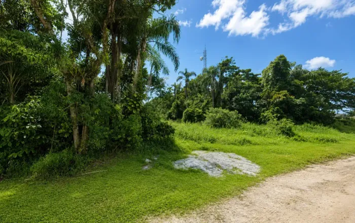Terreno para venda tem 403 metros quadrados em Centro - Pontal do Paraná - PR