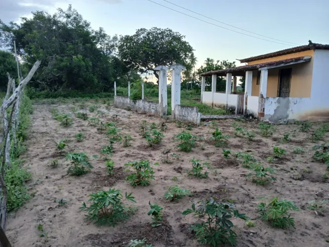 Vendo uma granja em Macaíba 
