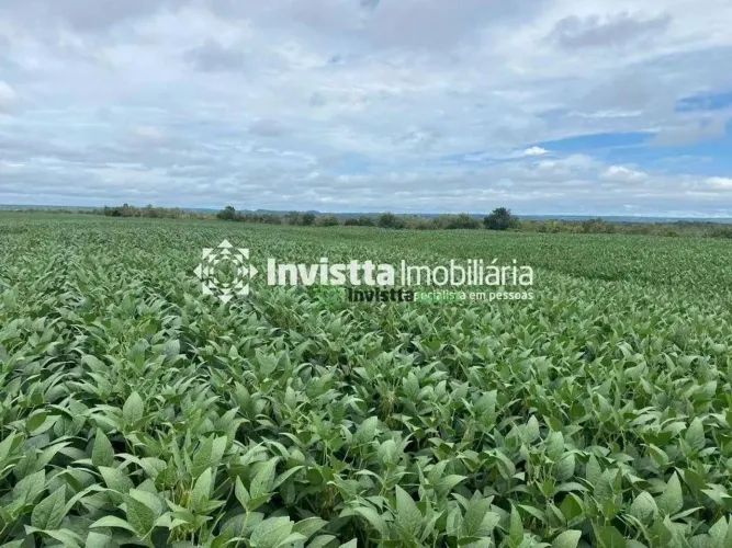 Fazenda de 234 alqueires com lavoura consolidada em Dois Irmãos/TO