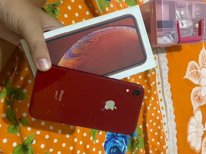 iPhone XR