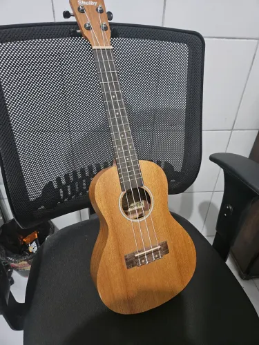 Ukulele + case