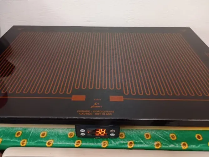 VIDRO TERMOELETRICO GLASART 40X60 CM 