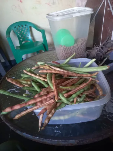 Tô a procura de sitio parcelado no rio preto que tenha aqua energia casa e frutos