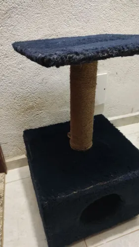 Casinha de gato