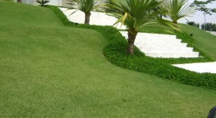 Jardinagem em geral.