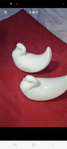 Par de pombo ou cisne.