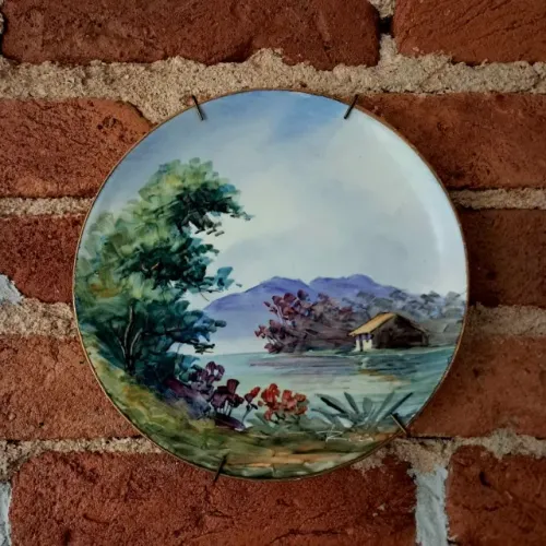Prato Decorativo Porcelana Zappi Assinado - Antigo e Raro!