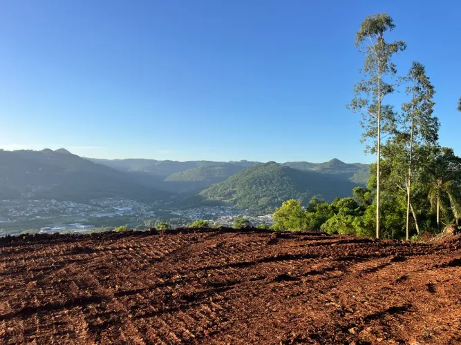 Chácara 64.000 m² em Feliz - vista incrível, acesso por Nova Petrópolis e Bom Princípio