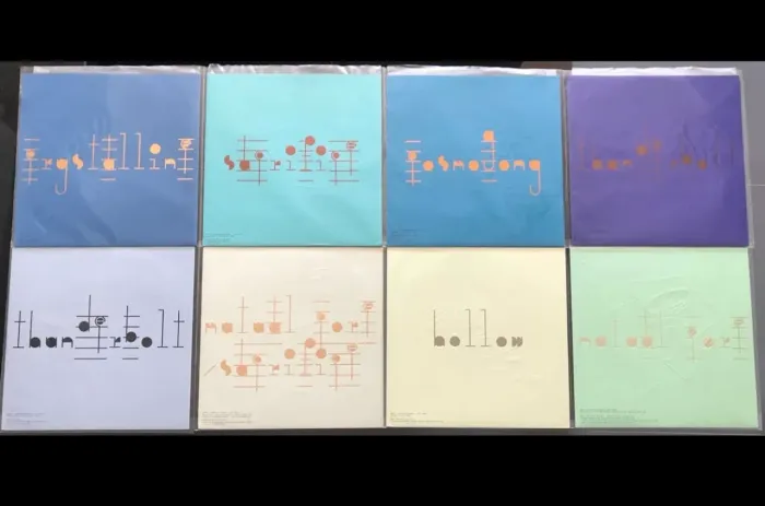 Vinil - Bjork - Biophilia Remixes - Set Completo - 8 Discos - Lps