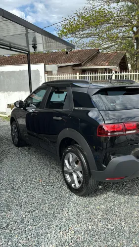 C4 cactus ótimo estado 