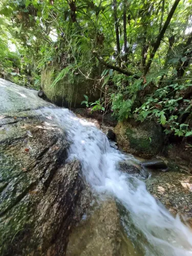 Área Rural de 30 hectares com cachoeira