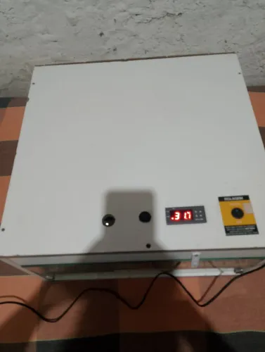 Chocadeira automática