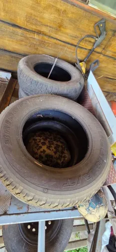 Vendo 4 pneus Bridgestone 265/65/R17
