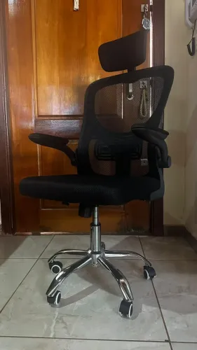 Cadeira Ergonômica - Nova