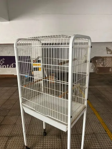 Viveiro grande para calopsitas e outros psitacídeos