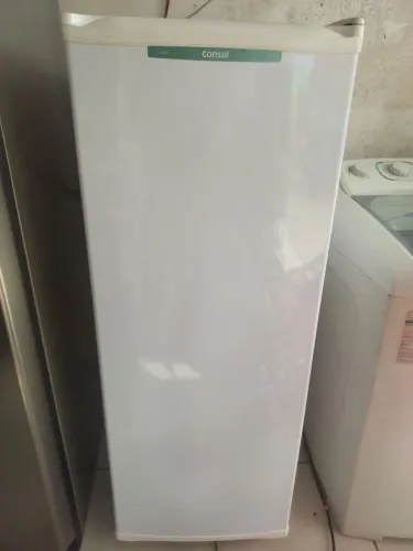Frezeer vertical consul