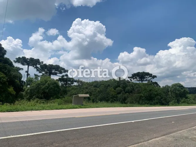 Terreno Industrial em Araucária- BR 476