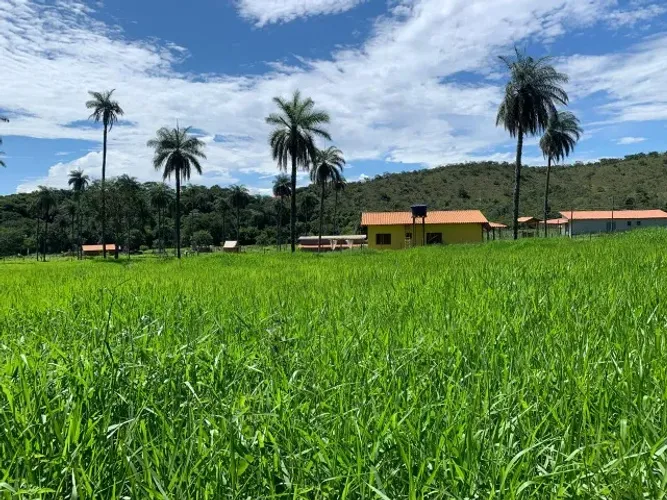 Terreno rural de 5.000 m² cercado, fácil acesso, faz parte da Estrada Real, rio nos fundos