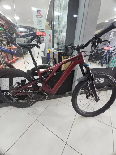 SPECIALIZED EXPERT CARBON G3