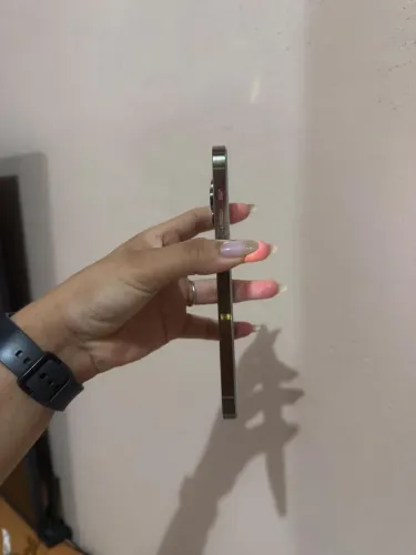 iPhone 14 Pro Max 256 impecável 