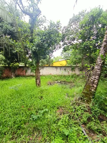 Casa em Tingua parque Estoril 500m2