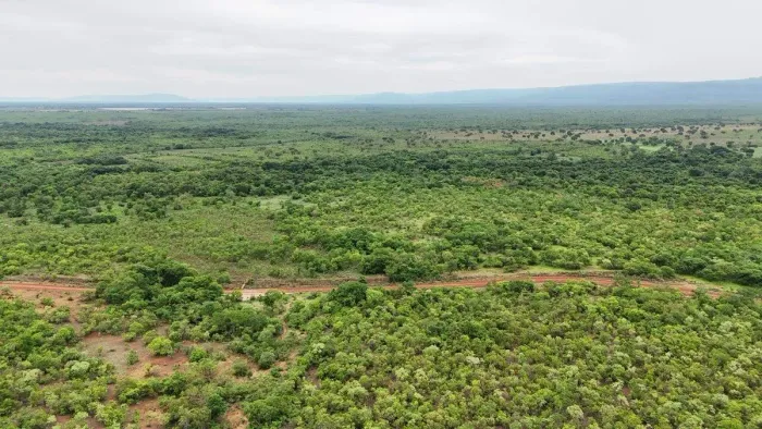 Imóvel rural, 100 m² no Zona Rural em Flores de Goiás