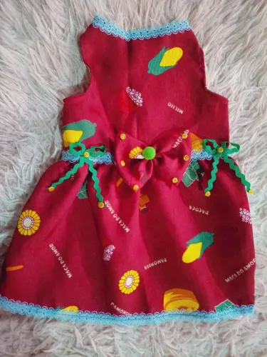 Vestido pet juninos