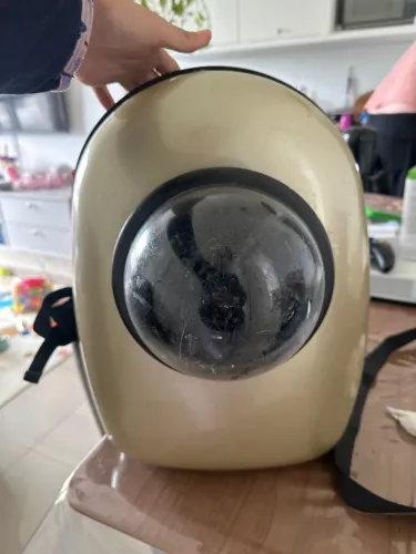 Mochila Pet para transporte