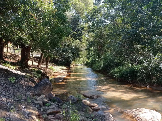 CHÁCARA EM AMARELOS